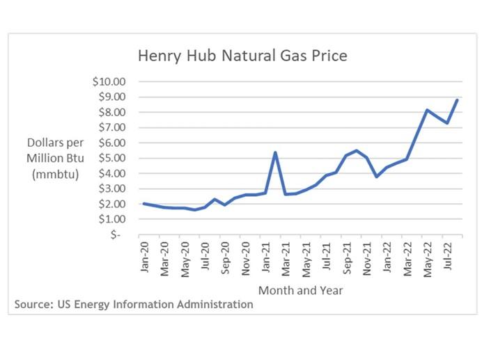 Graph on Natural Gas Price